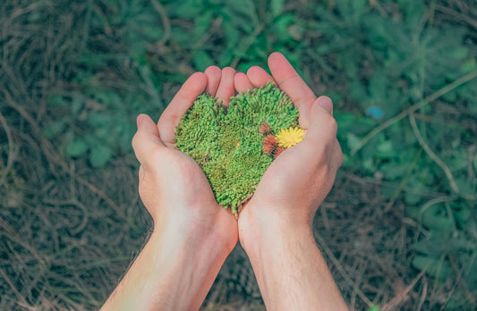 Cómo usar la aromaterapia para reducir el estrés diario | Tembo Natural