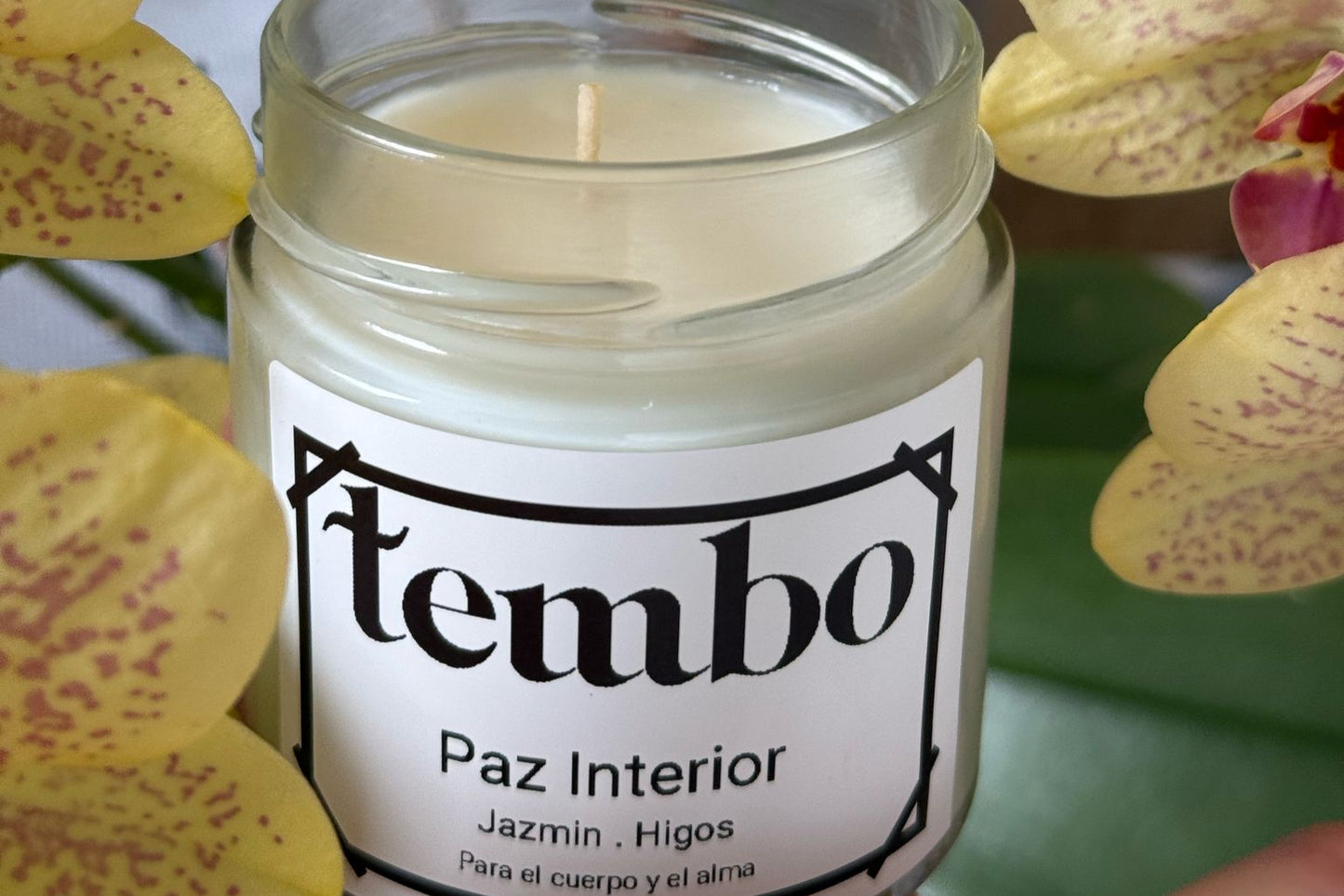 Vela Paz Interior